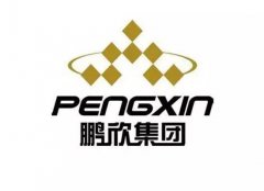 位列胡润百富榜玩转多家上市公司本钱市场的霸